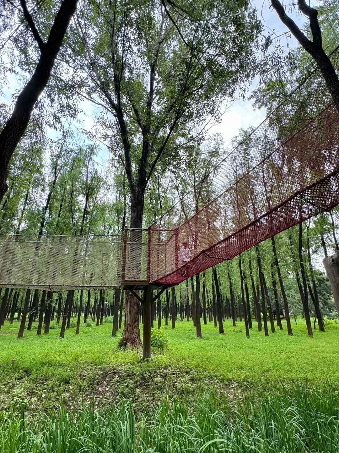 周末遛娃 _ 森系巨无霸网兜✅、免费玩?❗️_2_.jpg