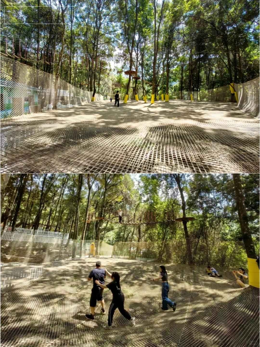 户外新玩法?绳网项目 好玩 疗愈又刺激_5_.jpg