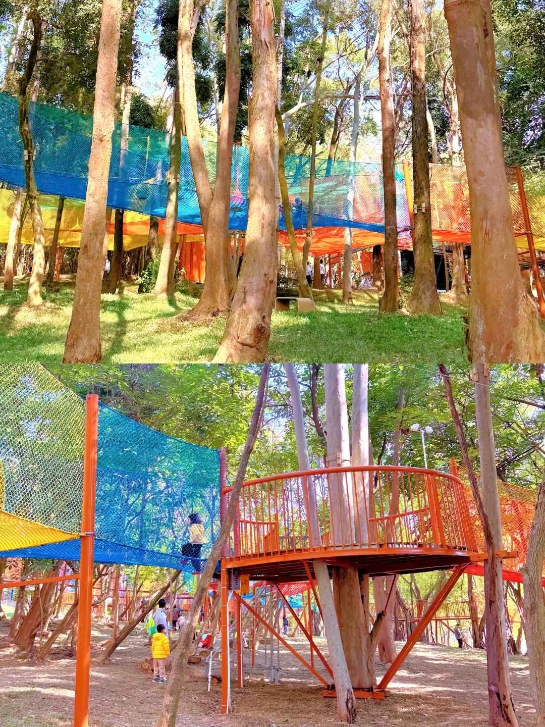 番禺新晋亲子乐园❗️超8000平方树上城市乐园_6.jpg