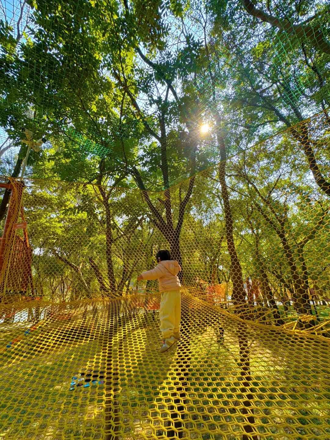 番禺新晋亲子乐园❗️超8000平方树上城市乐园_5.jpg