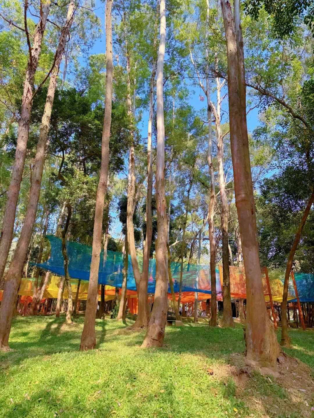 番禺新晋亲子乐园❗️超8000平方树上城市乐园_7.jpg