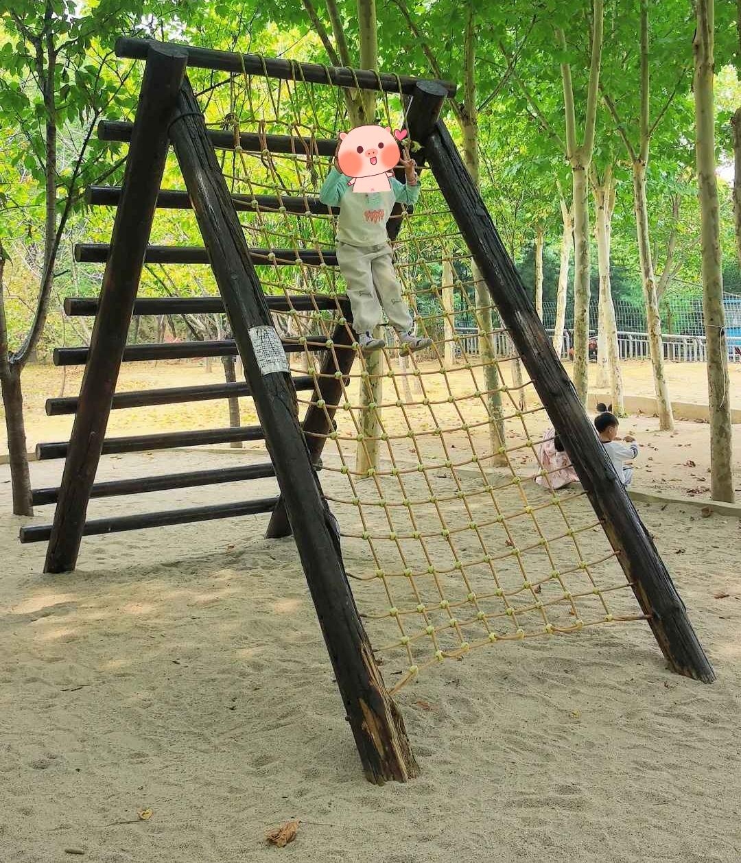 周末遛娃还得是这样的户外乐园_6.jpg