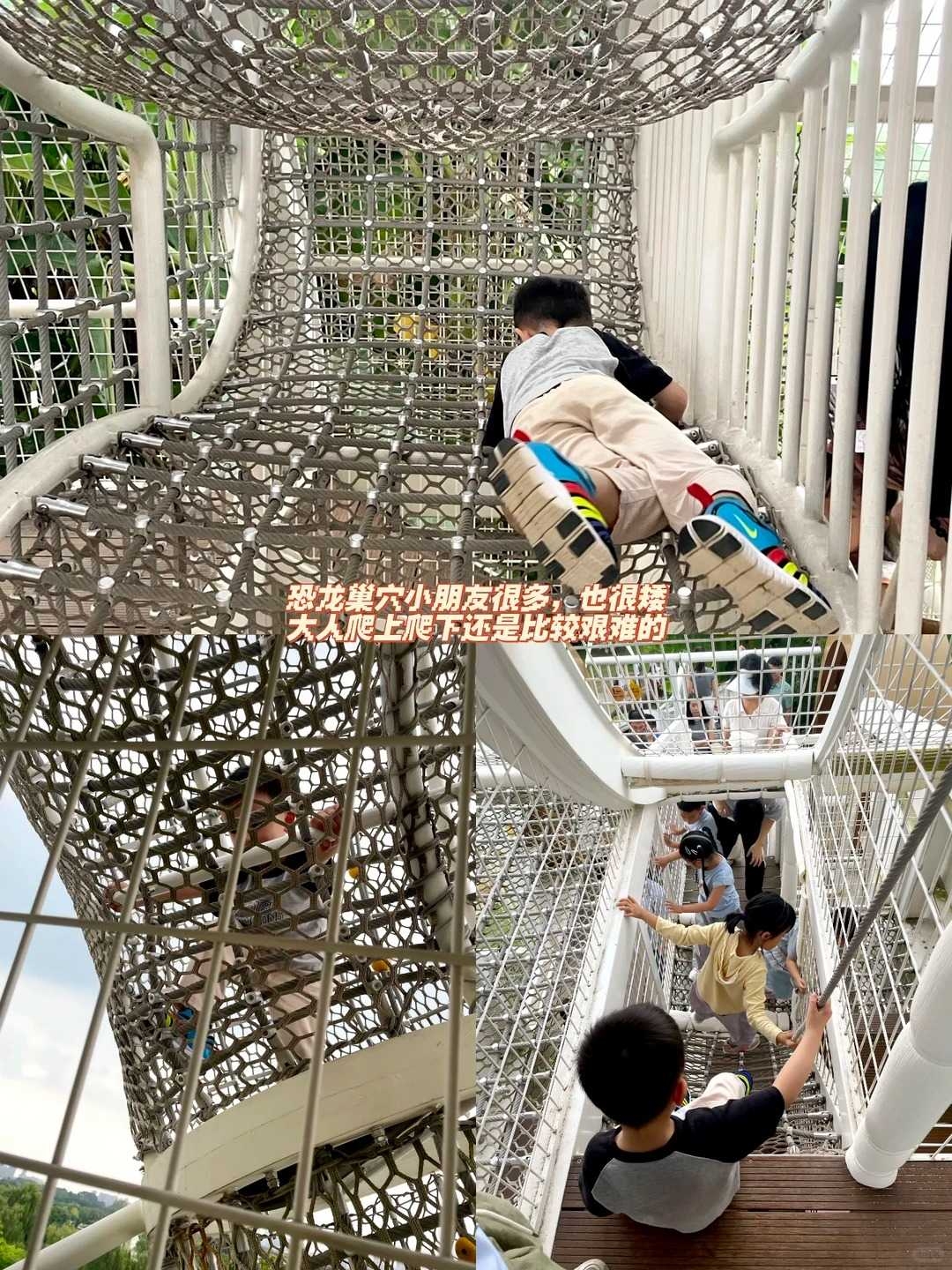 恐龙迷宝宝狂喜|✨森系无动力乐园放电一整天_10_.jpg